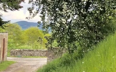 The May is Going Over