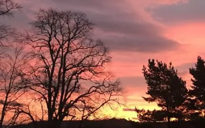 On Walking And Living With Nearly 20 Hours Of Daylight… Or More